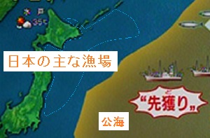 公海上で外国の大規模船団がサンマを先取りしてしまうため、日本近海に回遊してくるサンマが激変